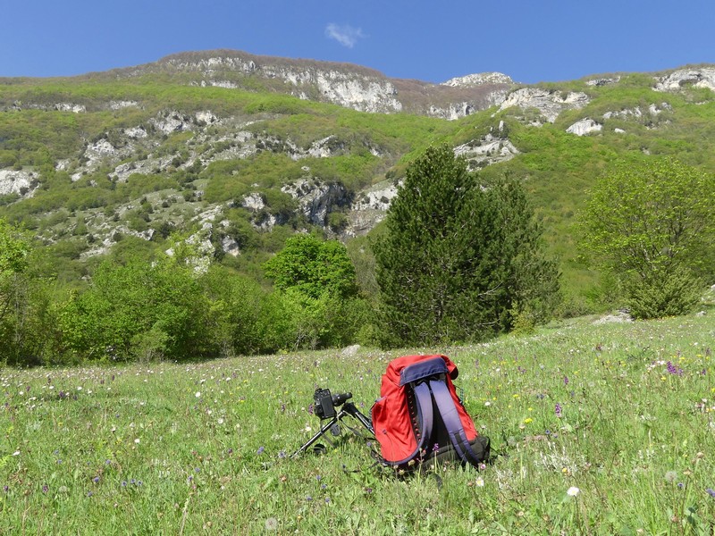 Prima fioritura di orchidee a Palena nel Parco Nazionale della Majella - maggio 2022.